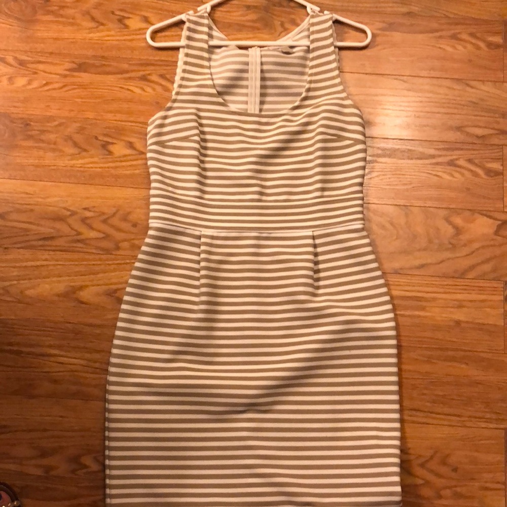 Loft professional dress